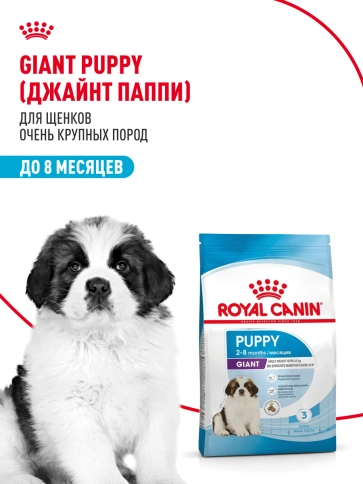 Сухой корм Royal Canin Giant Puppy для щенков, 15 кг фото 11