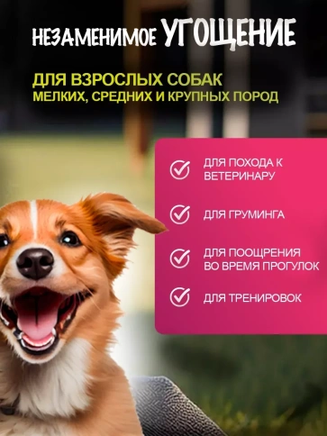 Лакомство Dog Fest шашлычки на жевательной шпажке с курицей, 500 г фото 3