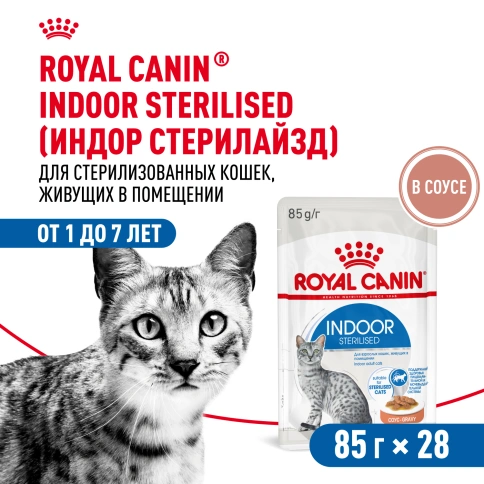 Влажный корм Royal Canin Indoor в соусе для кошек, живущих в помещении, пауч, 85 г фото 14