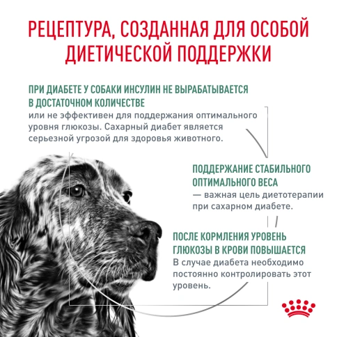 Сухой корм Royal Canin Diabetiс для собак, 1,5 кг фото 2