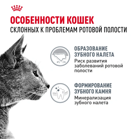Сухой корм Royal Canin Dental Care для кошек, 1,5 кг фото 2