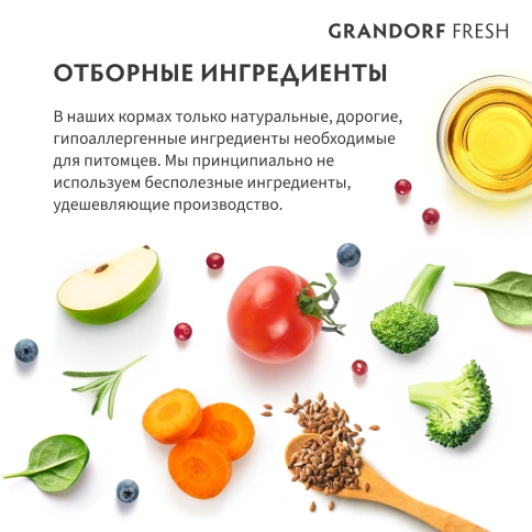 Сухой корм Grandorf Fresh Dog Lamb & Sweet Potato для юниоров средних и крупных пород беременных и кормящих собак беззерновой ягненок, с бататом, 10 кг фото 8