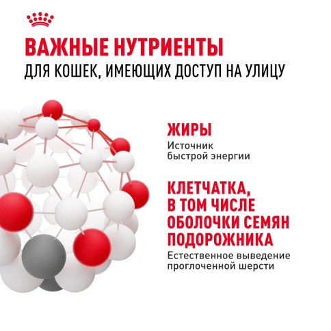 Сухой корм Royal Canin Fit для кошек, 400 г фото 5