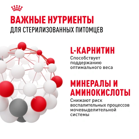 Сухой корм Royal Canin Sterilised для кастрированных котов и стерилизованных кошек, 1,2 кг фото 5