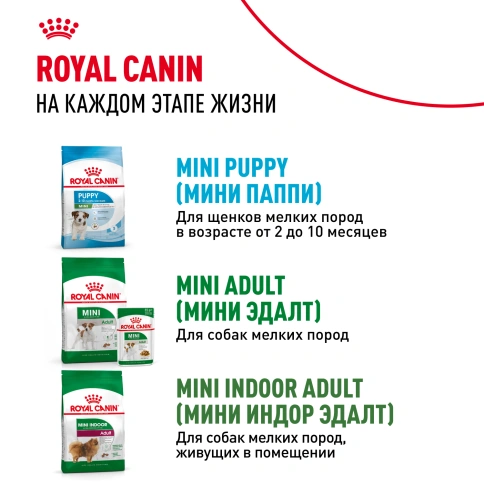 Сухой корм Royal Canin Mini Starter Mother & Babydog для щенков и кормящих сук, 8,5 кг фото 9