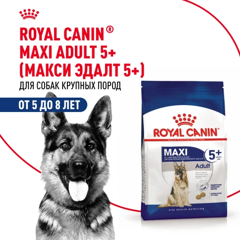 Сухой корм Royal Canin Maxi Adult 5+ для собак, 4 кг фото 12