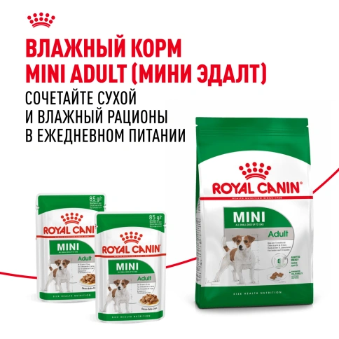 Сухой корм Royal Canin Mini Adult для взрослых собак, 4 кг фото 8