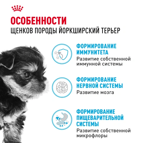 Сухой корм Royal Canin Yorkshire Terrier Puppy для щенков, 1,5 кг фото 2