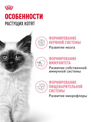 Сухой корм Royal Canin Kitten для котят, 10 кг фото 21