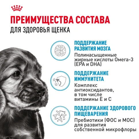 Влажный корм Royal Canin Mini Puppy в соусе для щенков мелких пород до 10 месяцев, пауч, 85 г фото 13