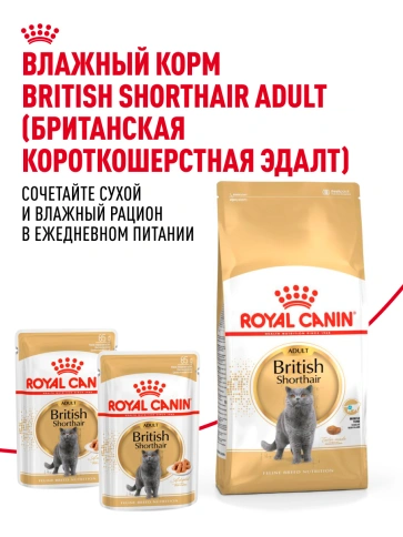 Сухой корм Royal Canin British Shorthair для кошек породы британская короткошерстная, 400 г фото 26
