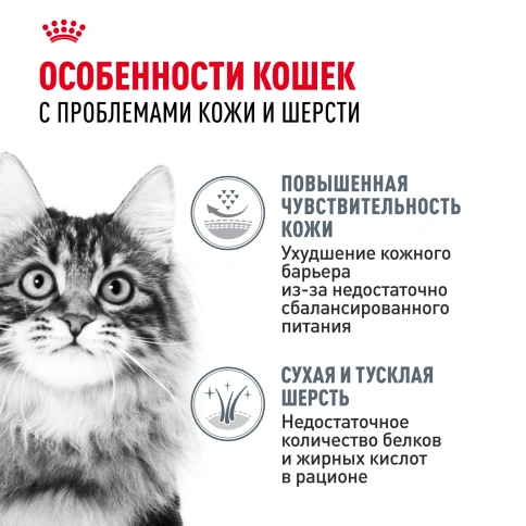 Сухой корм Royal Canin Hair & Skin Care для кошек, 400 г фото 2