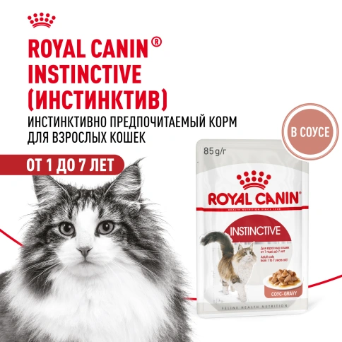 Влажный корм Royal Canin Instinctive в соусе для взрослых кошек старше 1 года, пауч, 85 г фото 15