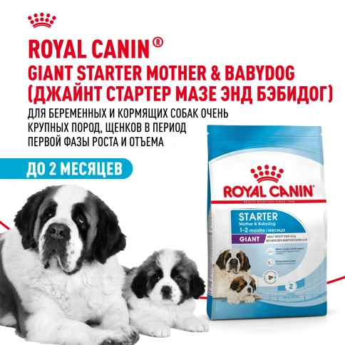 Сухой корм Royal Canin Giant Starter Mother & Babydog для щенков и собак, 4 кг фото 12