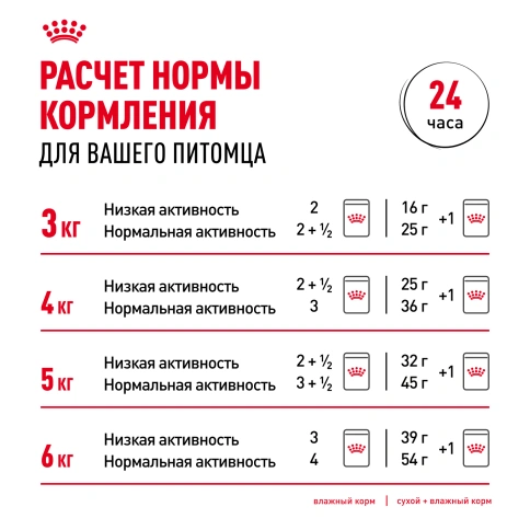 Влажный корм Royal Canin Indoor 7+ в желе для кошек старше 7 лет, живущих в помещении, пауч, 85 г фото 8