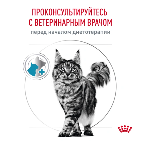Влажный корм Royal Canin Sensitivity Control в соусе Chicken & Rice для кошек при пищевой аллергии, с курицей и рисом, пауч, 85 г фото 8