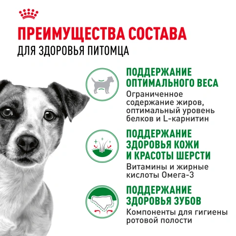 Сухой корм Royal Canin Mini Adult для взрослых собак, 8 кг фото 3