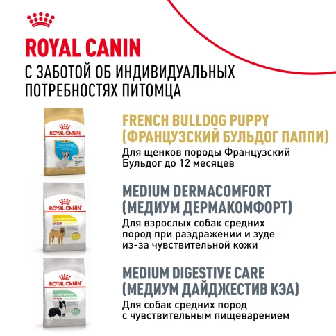 Сухой корм Royal Canin French Bulldog Adult для собак, 9 кг фото 10