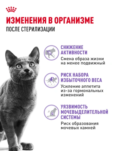 Сухой корм Royal Canin Sterilised для кастрированных котов и стерилизованных кошек, 1,2 кг фото 23
