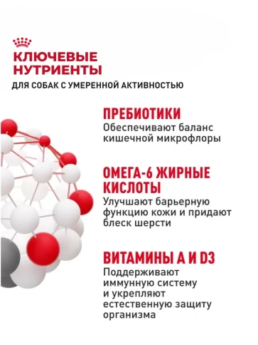 Сухой корм Royal Canin Club Adult Cс для взрослых собак, 20 кг фото 4