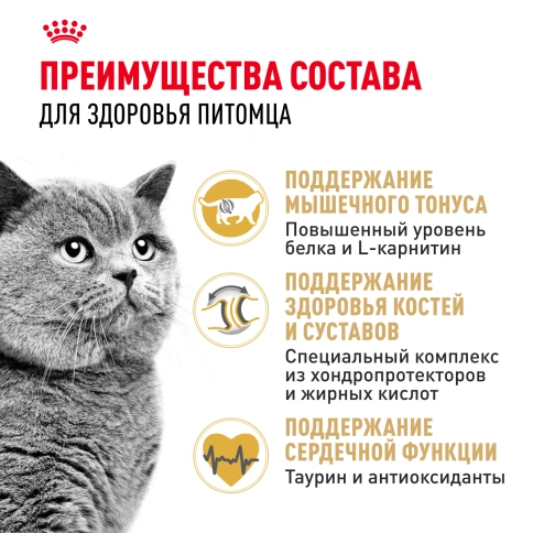 Сухой корм Royal Canin British Shorthair для кошек породы британская короткошерстная, 10 кг фото 3
