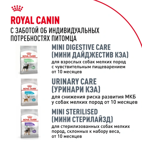 Сухой корм Royal Canin Chihuahua Adult для собак породы чихуахуа, 3 кг фото 8