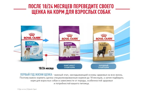 Сухой корм Royal Canin Giant Junior для щенков, 15 кг фото 15