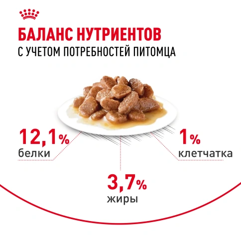 Влажный корм Royal Canin Hair & Skin Care в соусе для взрослых кошек старше 1 года, пауч, 85 г фото 5
