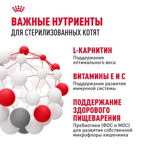 Сухой корм Royal Canin Kitten Sterilised для котят, 3,5 кг фото 5