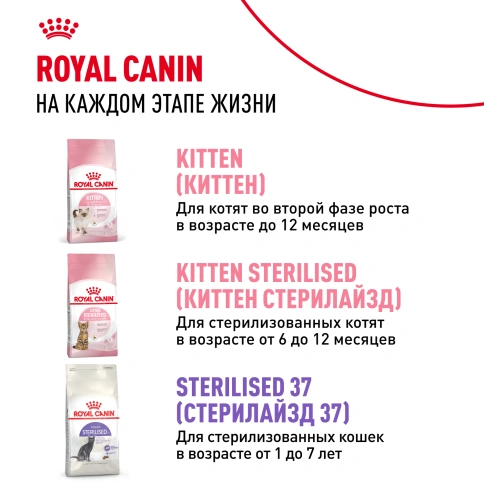 Сухой корм Royal Canin Kitten Sterilised для котят, 3,5 кг фото 9