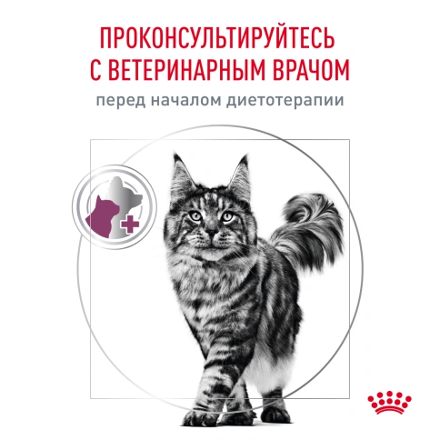 Влажный корм Royal Canin Renal Fish для кошек при заболеваниях почек, в соусе, с рыбой, пауч, 85 г фото 6