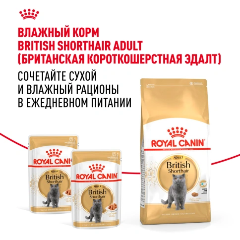 Сухой корм Royal Canin British Shorthair для кошек породы британская короткошерстная, 10 кг фото 8