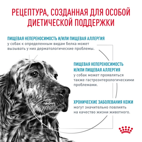 Сухой корм Royal Canin Hypoallergeniс для собак, 4 кг фото 3