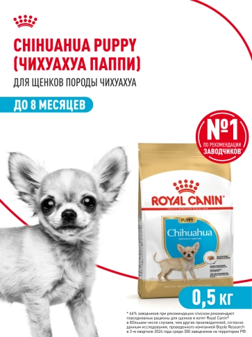 Сухой корм Royal Canin Chihuahua Puppy для щенков породы чихуахуа, 500 г фото 15