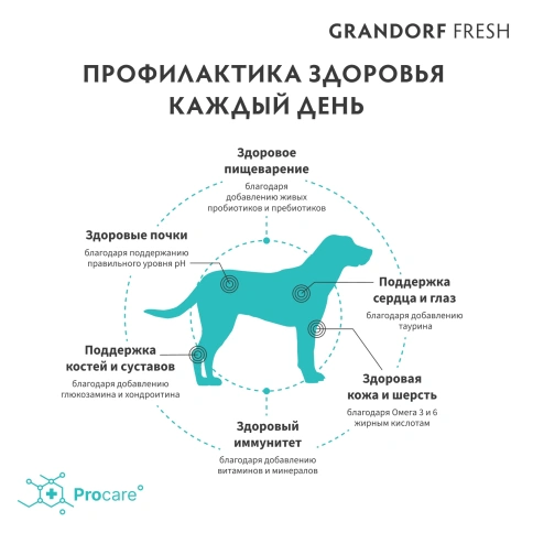 Сухой корм Grandorf Fresh Dog Lamb & Sweet Potato для взрослых собак крупных пород чувствительное пищеварение или склонность к аллергии ягненок, с бататом, 10 кг фото 4