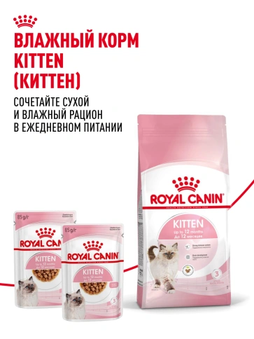Сухой корм Royal Canin Kitten для котят, 300 г фото 25
