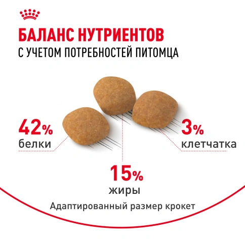 Сухой корм Royal Canin Protein Exigent для кошек фото 5