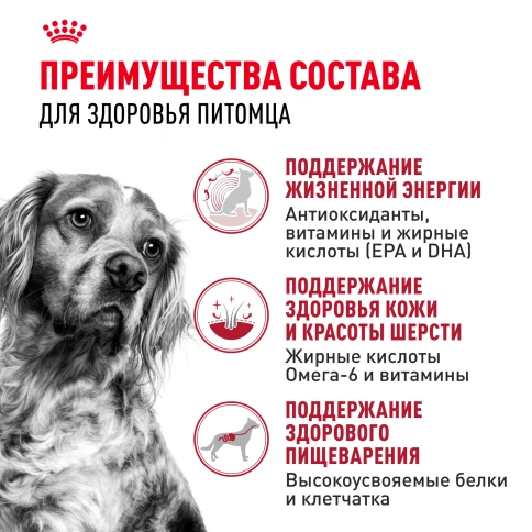 Сухой корм Royal Canin Medium Adult 7+ для собак, 15 кг фото 3