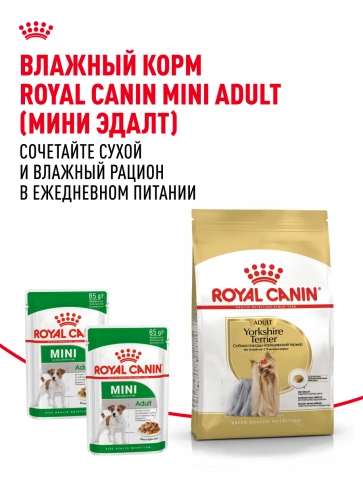Сухой корм Royal Canin Yorkshire Terrier Adult для взрослых собак, 3 кг фото 11