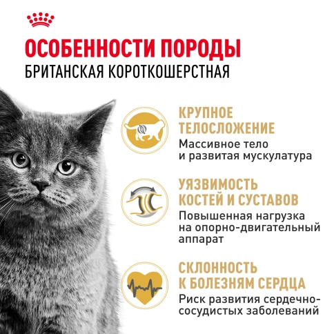 Сухой корм Royal Canin British Shorthair для кошек породы британская короткошерстная, 10 кг фото 2