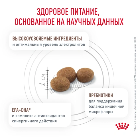 Сухой корм Royal Canin Gastrointestinal Moderate Calorie для кошек, 350 г фото 3