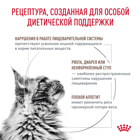 Влажный корм Royal Canin Gastrointestinal диетический для кошек при расстройствах пищеварения, пауч, 85 г фото 8