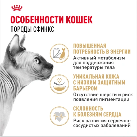 Сухой корм Royal Canin Sphynx для кошек породы сфинкс, 10 кг фото 2
