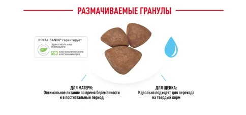 Сухой корм Royal Canin Mini Starter Mother & Babydog для щенков и кормящих сук, 1 кг фото 16