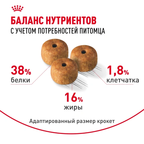 Сухой корм Royal Canin Siamese для кошек сиамской породы, 2 кг фото 4
