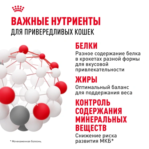 Сухой корм Royal Canin Savour Exigent для кошек, 400 г фото 5