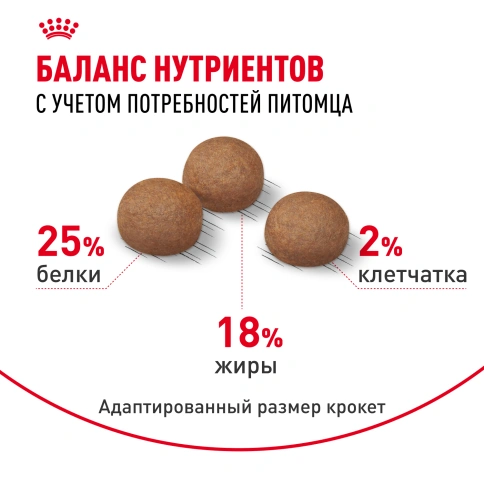 Сухой корм Royal Canin Medium Digestive Care для собак, 3 кг фото 4