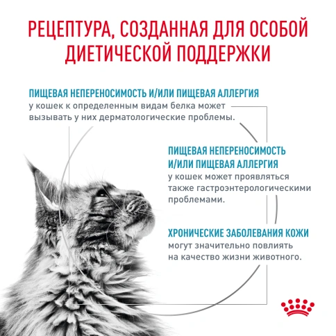 Сухой корм Royal Canin Hypoallergeniс для кошек, 2 кг фото 2