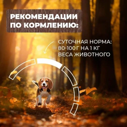Влажный корм Родные корма для собак, мясные кусочки в соусе по-суздальски, 970 г фото 5