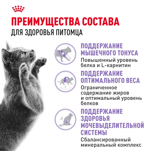 Сухой корм Royal Canin Sterilised для кастрированных котов и стерилизованных кошек, 1,2 кг фото 3